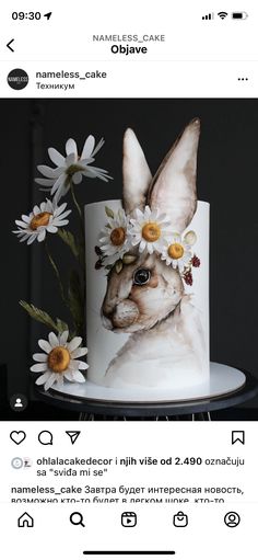 a cake decorated with an image of a rabbit and daisies on it's side