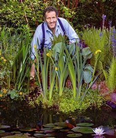 a man standing in front of a pond surrounded by plants and water lilies with lily pads on the ground