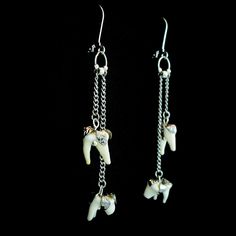 These genuine coyote tooth earrings are an elegant and classy choice for real animal bone taxidermy jewelry. The coyote's molars are surprisingly dainty and adorable little teeth. Each earring has 2 coyote molars dangling from dainty chain in an antique silver finish. These coyote teeth are adorned with a beautiful leaf patterned cap that is molded to fit each individual tooth and hangs securely from a leverback earring clasp closure. -Genuine coyote molar teeth -Antique silver finish -Leaf patt Unique Bone-colored Sterling Silver Jewelry, Unique Bone Colored Sterling Silver Jewelry, Handmade Sterling Silver Jewelry In Bone Color, Unique Bone-colored Nickel-free Earrings, Nickel-free Bone-colored Dangle Earrings, Nickel-free Bone Dangle Earrings, Nickel Free Bone Color Dangle Earrings, Bone Taxidermy, Animal Bone Jewelry