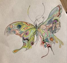 a drawing of a colorful butterfly with feathers on it's back legs and wings