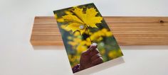 a hand holding a yellow leaf on top of a piece of wood next to a wooden frame