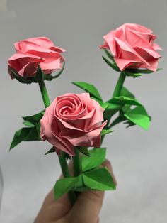 a hand holding three pink roses with green leaves in it's center and the petals are folded up