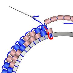 the structure of an animal's body is shown in blue and pink, as well as