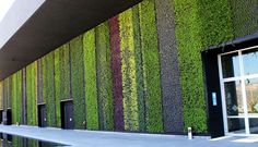 a building that has a large green wall on it