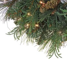 a close up of a pine tree with christmas lights on it's branches and cones