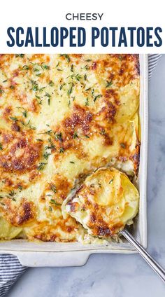 cheesy scalloped potatoes in a casserole dish