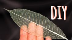 a person holding a leaf with the words diy on it