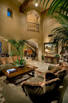 a living room filled with lots of furniture and a large plant in the middle of it