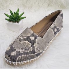 New Womens Animal Print Moccasin Style Shoes Size 7 - 10 Beige Slip-on Moccasins For Summer, Summer Beige Slip-on Moccasins, Beige Round Toe Moccasins For Summer, Fringe Moccasin Boots, Blue Suede Loafers, Suede Fringe Boots, Cap Toe Shoes, Moccasins Women, Moccasins Style