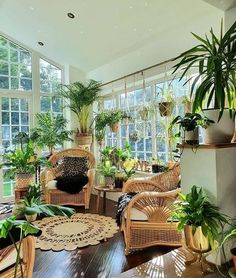 a living room filled with lots of potted plants