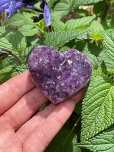 This listing is for this exact beautiful natural purple amethyst heart geode crystal.   💜This is a natural raw specimen and it will have chips and other imperfections   * from Brazil 3.28 oz 2.1"x1.75"x.85" Amethyst Raw Stone Crystals For Gift, Lavender Raw Stone Crystals As A Gift, Lavender Raw Stone Crystals For Gift, Healing Amethyst Geodes, Purple Raw Stone Crystals For Gift, Amethyst Geodes For Healing, Amethyst Geodes Gemstone Gift, Purple Natural Stones Geodes As A Gift, Purple Natural Stone Geodes For Gifts