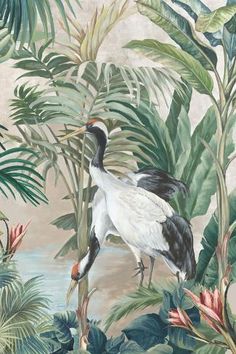 two birds are standing in the middle of some tropical plants and trees, one is black and white