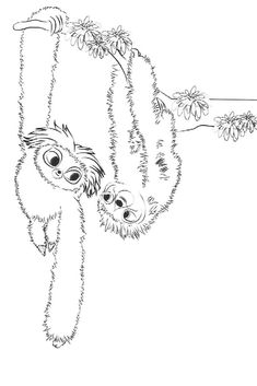 two monkeys hanging from a tree branch