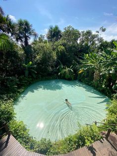 a person swimming in a pool surrounded by trees