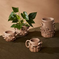 four ceramic cups with plants in them on a table