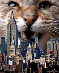 a cat with it's mouth open in front of a large cityscape