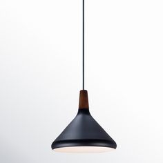 a black and brown light hanging from a ceiling