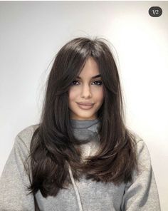 Medium Hair Blowout With Bangs, Collarbone Length Hair Blowout, Blowout Hair Long Brown, Brown Hair Blowout Layers, 90s Layered Brown Blowout Hair, Long Hair With Bangs And Layers, Hair Styels