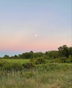 the sun is setting over an open field with wildflowers and trees in the distance