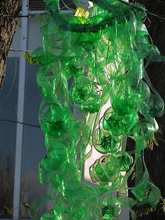 green plastic bottles are hanging from a tree