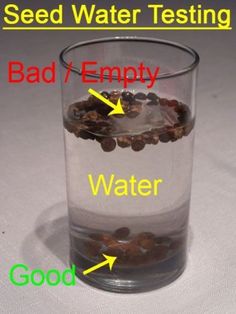 a glass filled with water sitting on top of a white table next to an orange and green marker