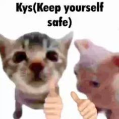 two cats giving thumbs up to each other with the caption keys keep yourself safe