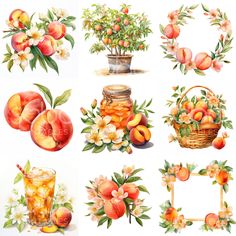 an image of peaches with flowers and fruit