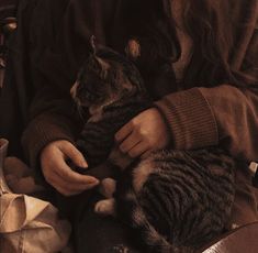 a person holding a cat in their lap