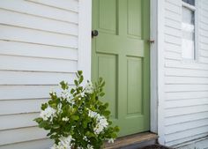 a potted plant sitting in front of a green door on the side of a house