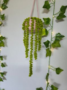 a green plant hanging from the side of a wall next to a string of lights