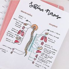 a diagram of the human nervous system on a notebook