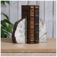 two bookends made out of books sitting on top of a wooden table next to a plant