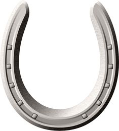 a metal horseshoe shaped object on a white background