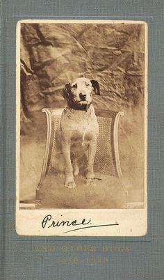 an old photo of a dog sitting in a chair with the words prince on it