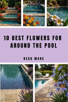 the top 10 best flowers for around the pool