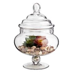 a glass jar filled with rocks and plants