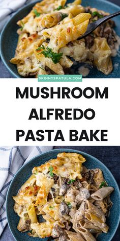 mushroom alfredo pasta bake on a blue plate