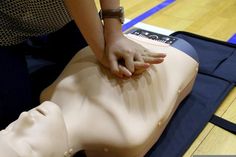 How To Do Cpr, Love You Meme, Basic First Aid