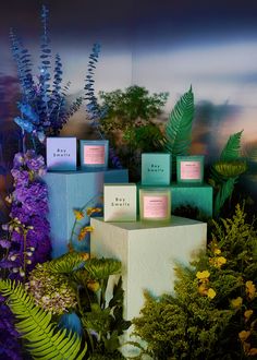 three boxes with candles sitting on top of each other in front of plants and flowers