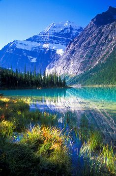 the mountains are reflected in the water near the grass and trees on the shore,