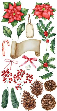 watercolor christmas clipart set with holly, pine cones and candy canes