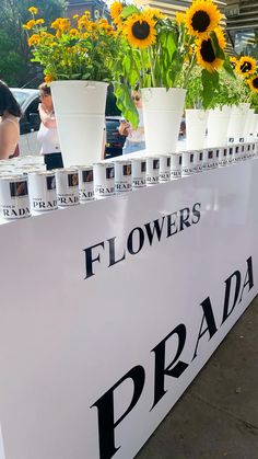 there are many flower pots on display at the prada event in front of some sunflowers