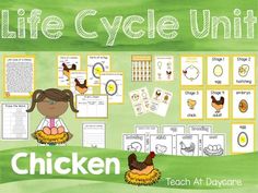 the life cycle unit for chickens