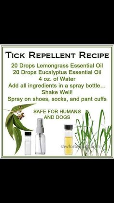 Need to remember for hiking with the pups! Tick Repellent Essential Oils, Natural Tick Repellent, Handy Gadgets, Tick Repellent, Oil Remedies, Lemongrass Essential Oil, Young Living Oils, Doterra Oils, Eucalyptus Essential Oil