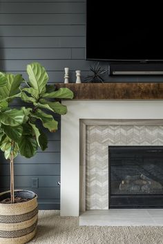 a living room with a fireplace, television and potted plant in front of it