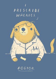 a dog wearing glasses and a lab coat with the words, i prescribe walkies doctor