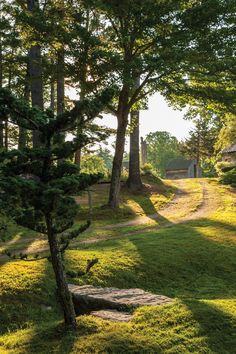 the sun shines through the trees and grass in front of a stone path that leads to a small cabin