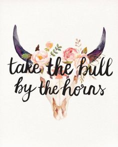 the words take the bull by the horns are painted in black and white with pink flowers