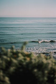 a person riding a surfboard on top of a wave in the ocean near shore