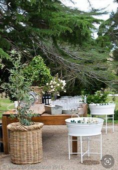 an outdoor dining area with wicker furniture and plants on the table, surrounded by trees